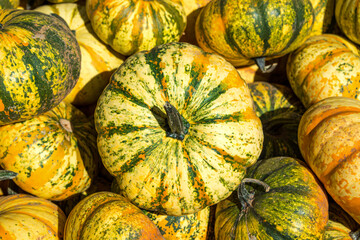 Top view of a green, yellow, and orange pumpkin