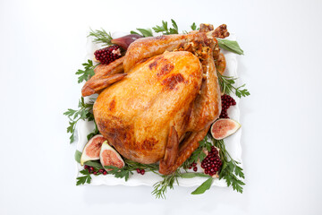Traditional Roasted Turkey on White