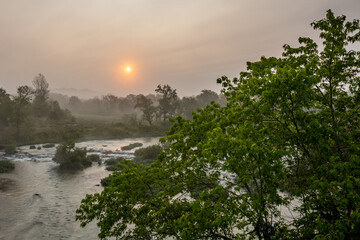 Fototapeta na wymiar Foggy Sunrise Over Shoal Creek