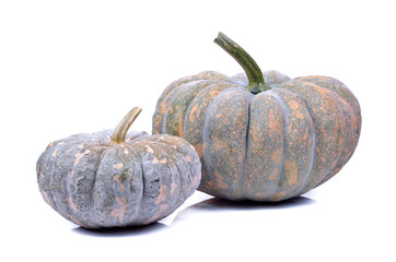 pumpkin isolated on the white background