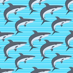 shark fish seamless pattern vector illustration 