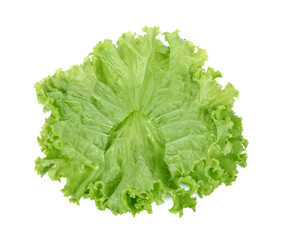 Naklejka na ściany i meble Salad leaf. Lettuce isolated on white background