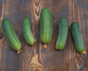 
fresh homemade cucumbers lie on a wooden table