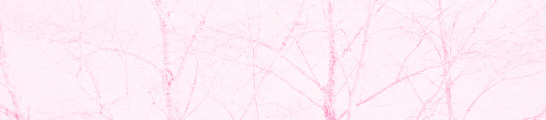 abstract light pink and white colors background for design