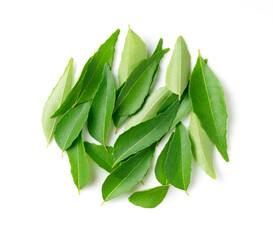 Curry leaves on a white background