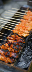 indonesia chicken satay grilled over a charcoal fire, tasty and delicious
