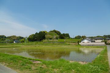田んぼ、田舎