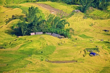 Terrace rice field and mountain view, Sapa, Vietnam Vietnam landscapes.