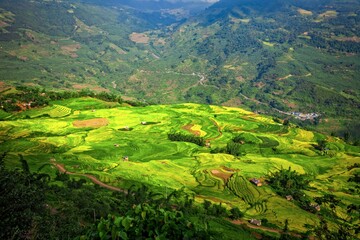 Terrace rice field and mountain view, Sapa, Vietnam Vietnam landscapes.