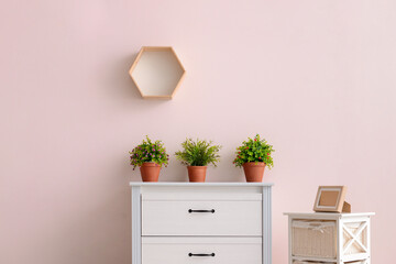 Modern chest of drawers with houseplants near color wall in room