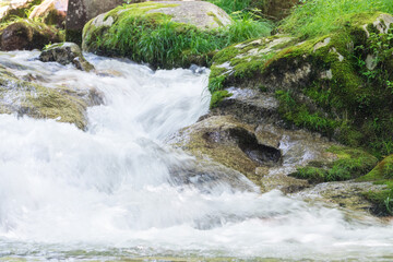 渓流（井山川）愛知県豊田市稲武地区