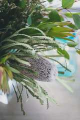 Old man banksia and Australian native flowers in a vase