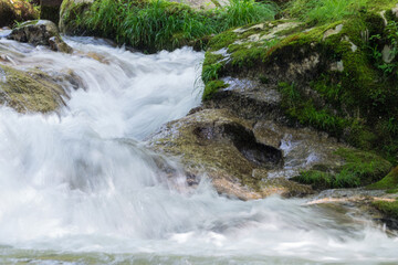 Fototapeta premium 渓流（井山川）愛知県豊田市稲武地区