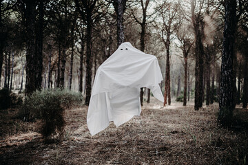 Mascara terror halloween bosque siniestro conejo negro anonimo desconocido arbol tronco arena