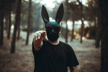 Mascara terror halloween bosque siniestro conejo negro anonimo desconocido arbol tronco arena 