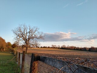 sunset over the river