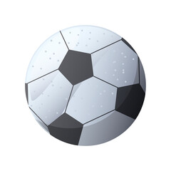soccer ball on white background