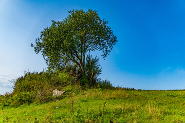 Arensberg Vulkan Runde von Hillesheim