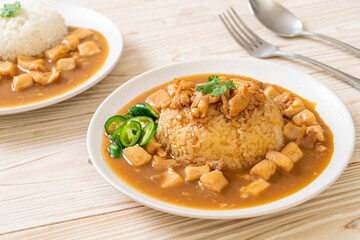 Chicken in brown sauce or gravy sauce with rice