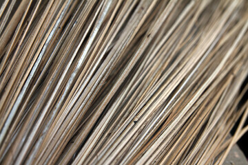 Closeup portrait of Broom stick