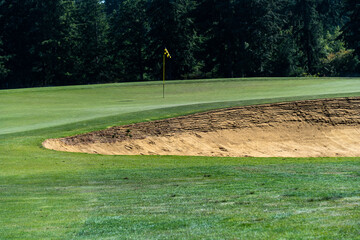 Sand trap on a golf course guarding the green, evergreen trees in the background

