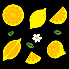 Lemon, citrus, fruit, juicy vector icons.