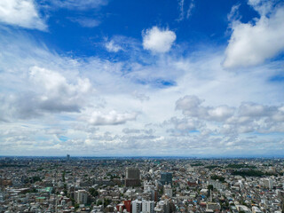 Obraz premium 【日本・東京都内・眺望】三軒茶屋キャロットタワーより