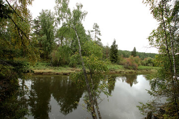 reflection of trees in water