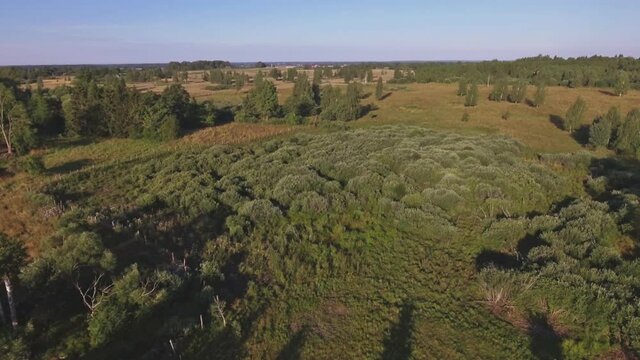 Winches Fly Above the Bushy Territory. Aerial Track Left
