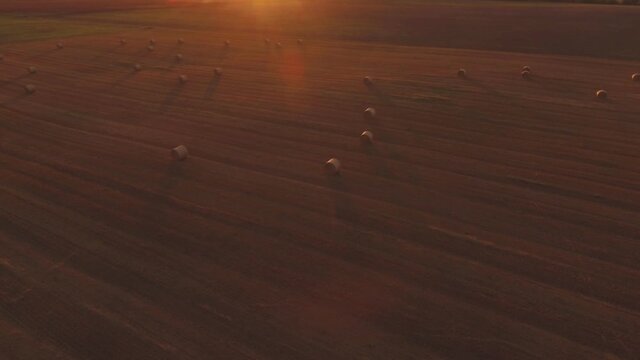 Hay Rolls In Harvested Agricultural Fields On A Sunny Evening At Sunset. Aerial Arc Right
