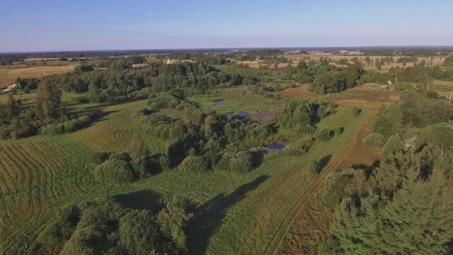 Swampy Area On A Sunny Summer Day. Aerial Flying Backwards