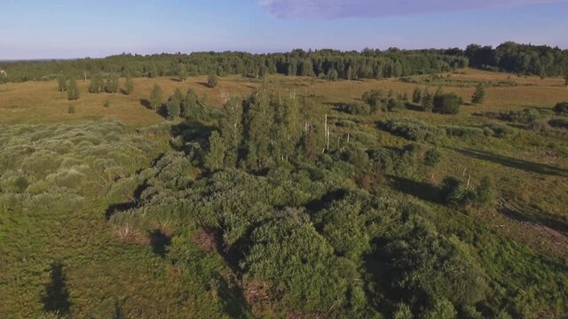 Aerial Flight Towards Two Winches Squatting On Deciduous Treetops