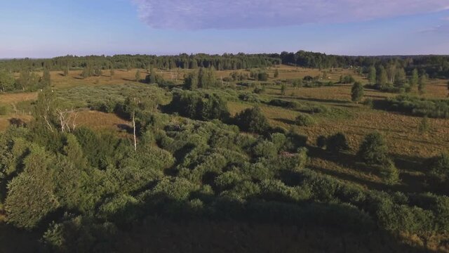 Two Winches Fly Above the Bushy Territory. Aerial Active-Track