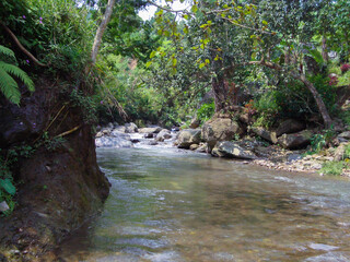 Naklejka na ściany i meble river with rocks on the slopes of Mount Lawu