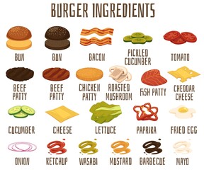 Vector poster with set burger and sandwich ingredients