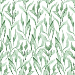 Watercolor leaves Seamless pattern. Summer floral plant vector watercolor background.