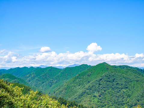 夏・高尾山・見晴台より眺望