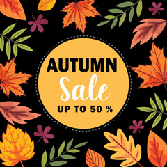 Hello Autumn with decoration leaves, vector illustration,seasonal, seasons, maple, dry, nature, 