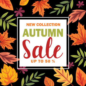 New collection Autumn Sale discount template design vector illustration
