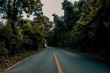 Fototapeta premium Countryside road passing through the serene lush greenery and foliage tropical rain forest mountain landscape on the Doi Phuka Mountain reserved national park the northern Thailand