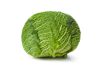Fototapeta premium Cabbage