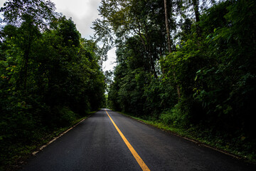 Fototapeta na wymiar Countryside road passing through the serene lush greenery and foliage tropical rain forest mountain landscape on the Doi Phuka Mountain reserved national park the northern Thailand