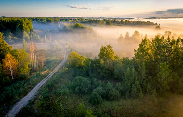 Early morning landscape. Foggy forest. Footpath trough the forest in a thick mysterious fog at sunrise. View from above