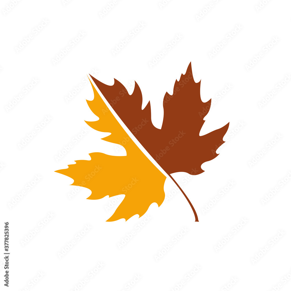 Canvas Prints maple leaf logo icon design template vector