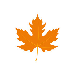 maple leaf logo icon design template vector	