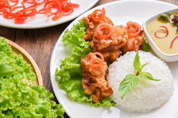 Deep Fried Chicken  and Green Curry with Rice , vegetable  in White plate. Thai food