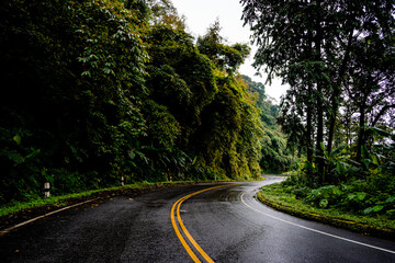 Fototapeta premium Countryside road passing through the serene lush greenery and foliage tropical rain forest mountain landscape on the Doi Phuka Mountain reserved national park the northern Thailand
