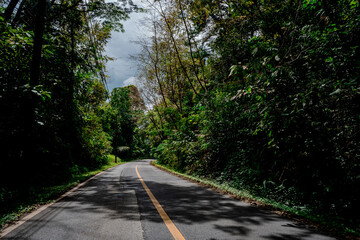 Countryside road passing through the serene lush greenery and foliage tropical rain forest mountain landscape on the Doi Phuka Mountain reserved national park the northern Thailand