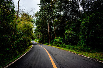 Fototapeta premium Countryside road passing through the serene lush greenery and foliage tropical rain forest mountain landscape on the Doi Phuka Mountain reserved national park the northern Thailand
