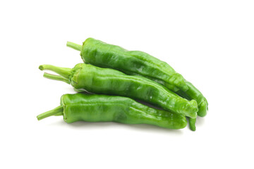 シシトウガラシ（獅子唐辛子）